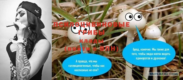 ALPHA-PVP Богородицк