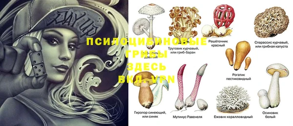 MESCALINE Богданович