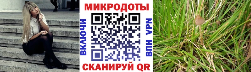 Псилоцибиновые грибы Psilocybine cubensis  хочу наркоту  Рязань 